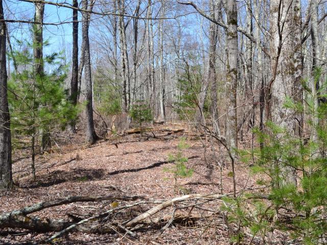 Land for sale in Fallsburg, New York