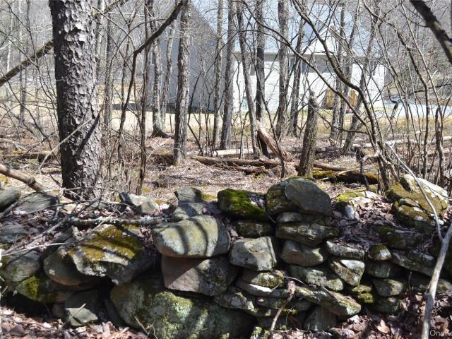 Land for sale in Fallsburg, New York