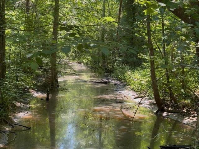 Land for sale in Blackville, South Carolina