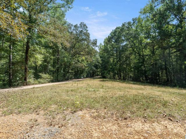 Land for sale in Chelsea, Alabama