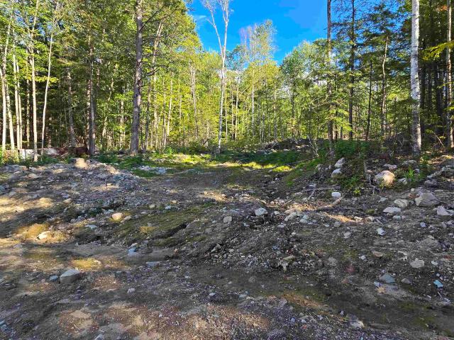 Land for sale in New Hampshire