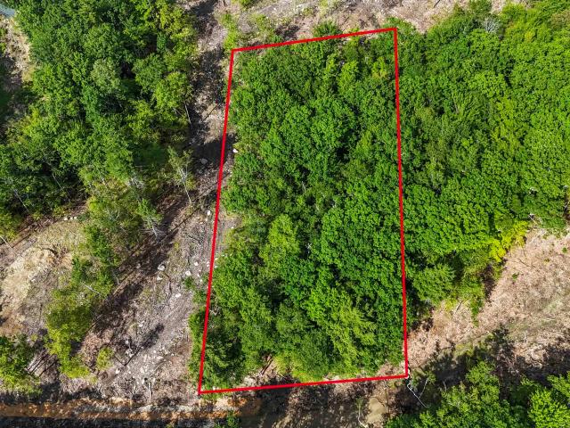 Land for sale in New Hampshire