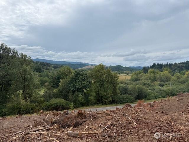 Land for sale in Oakville, Washington