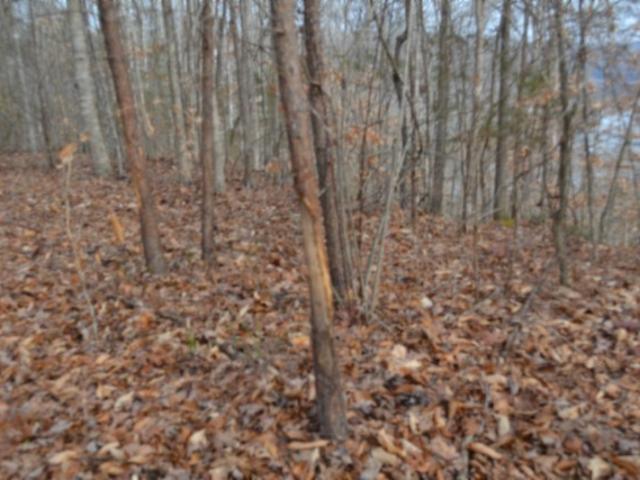 Land for sale in Tennessee
