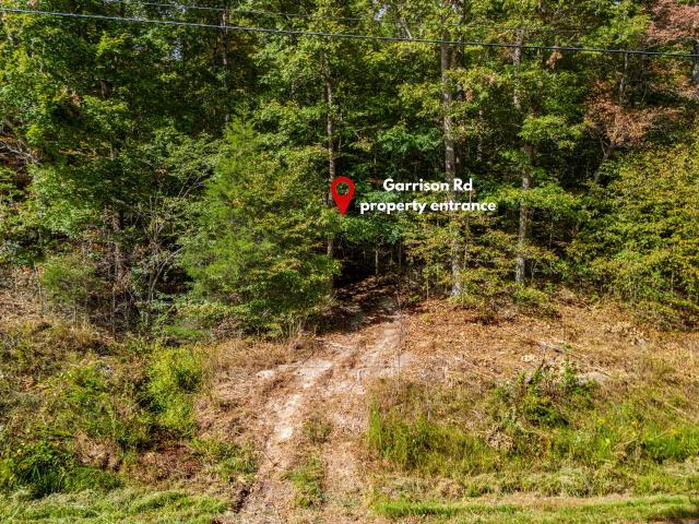 Land for sale in Franklin, Middle Tennessee