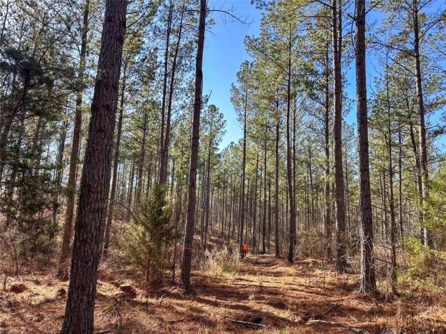 Land for sale in Lyerly, Georgia