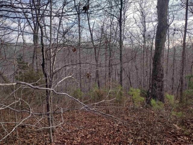 Land for sale in Ark