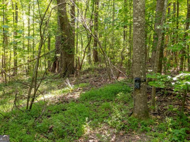 Land for sale in Monroe, Georgia