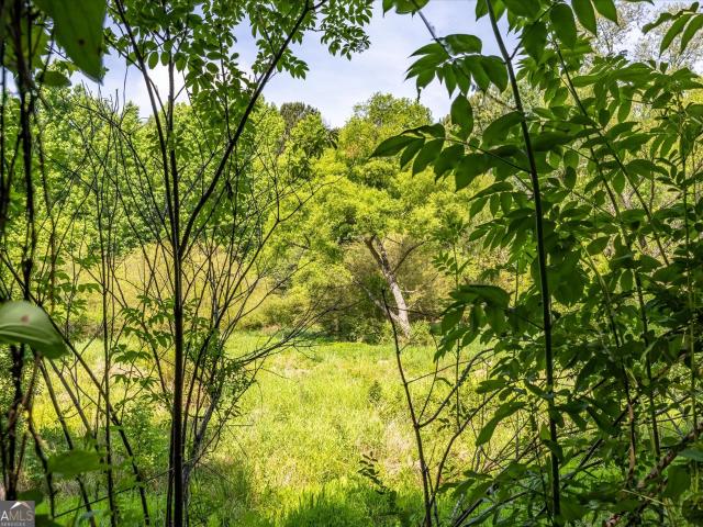 Land for sale in Monroe, Georgia