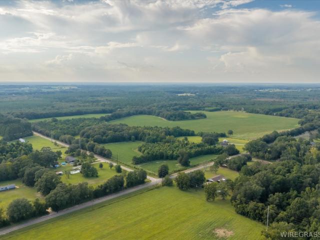 Land for sale in Cottonwood, Alabama