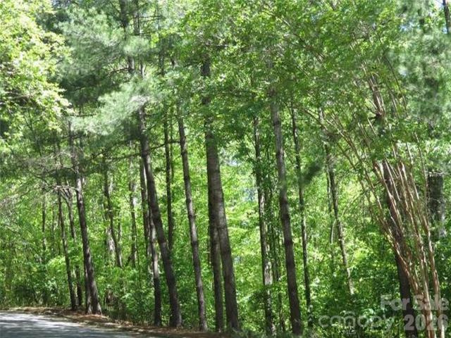 Land for sale in Rutherford, North Carolina