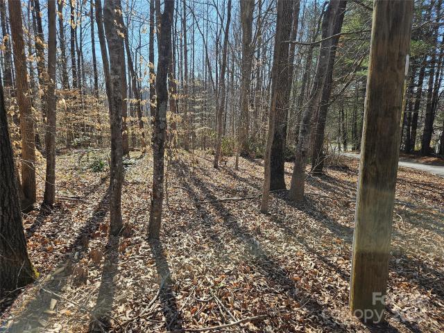 Land for sale in Rutherford, North Carolina
