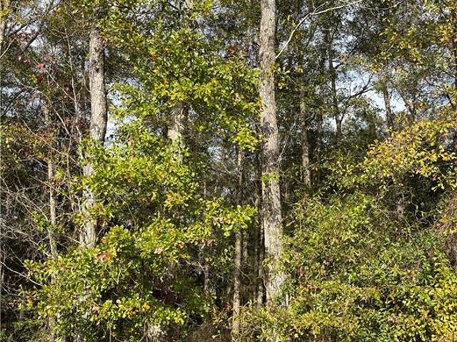 Land for sale in Mandeville, Louisiana