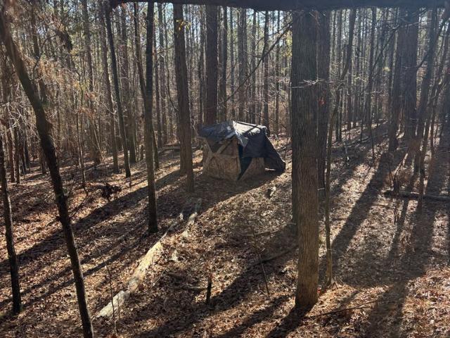 Land for sale in Talbot, Georgia