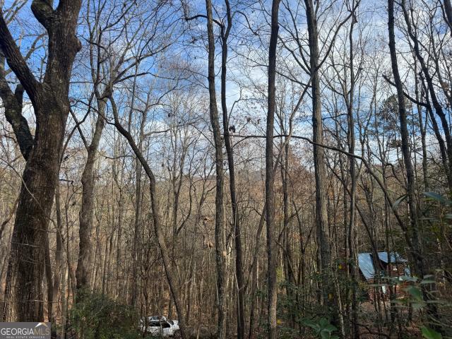 Land for sale in Georgia