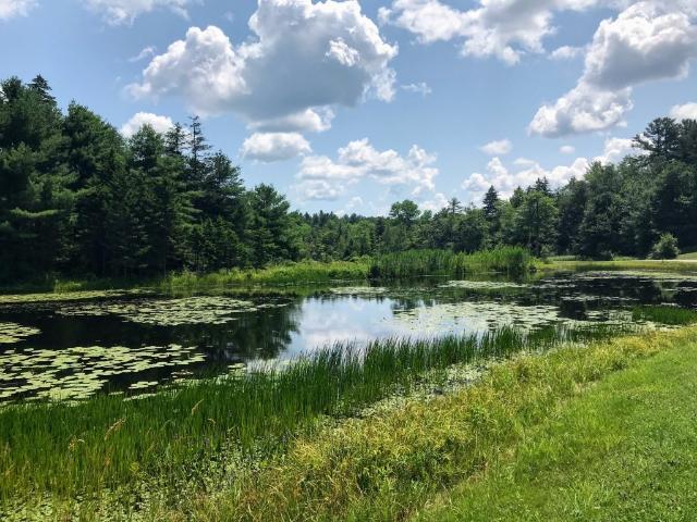 Land for sale in Berkshire, Massachusetts