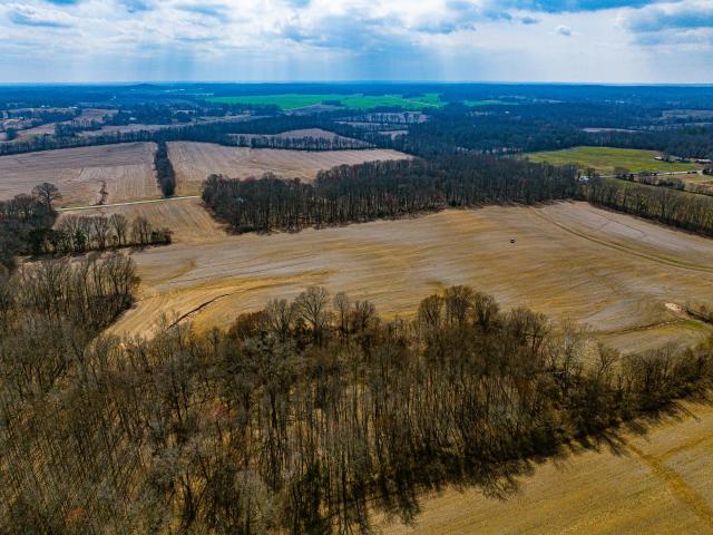 Land for sale in Tennessee