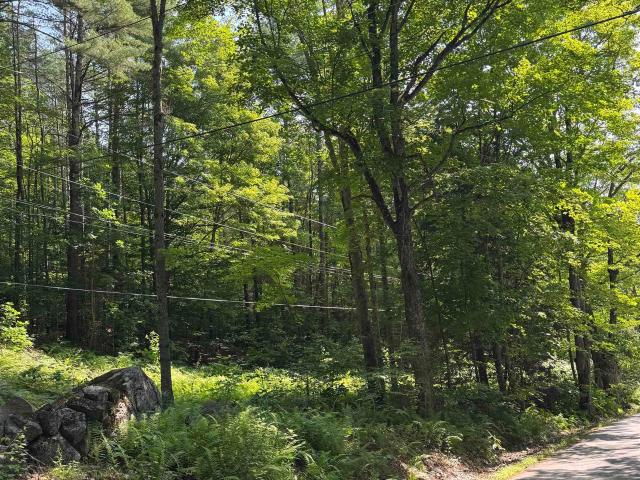 Land for sale in New Hampshire