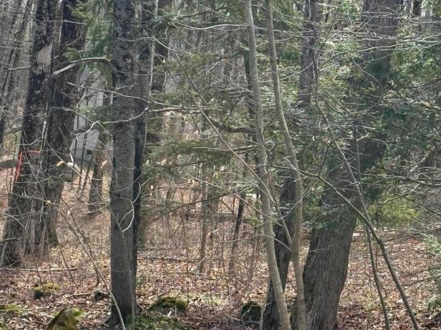Land for sale in Berkshire, Massachusetts