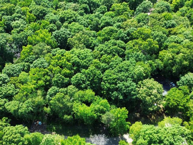 Land for sale in Tennessee