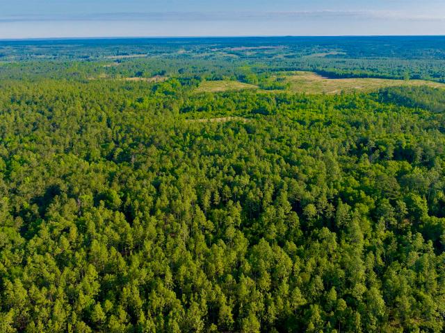 Land for sale in Perdido, Alabama