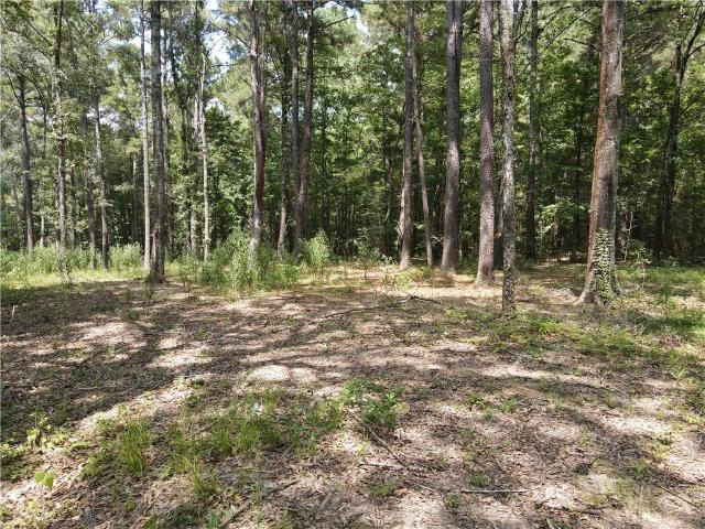 Land for sale in Marksville, Louisiana