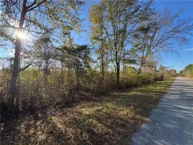 House for rent in Tallapoosa, Alabama