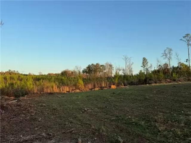 House for rent in Tallapoosa, Alabama