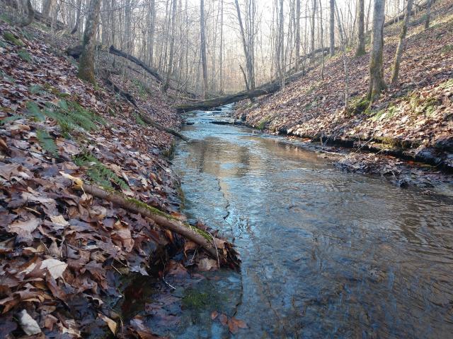 Land for sale in Tennessee