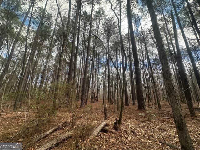 Land for sale in Talbot, Georgia
