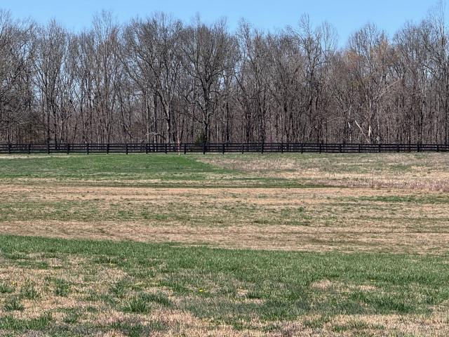 Land for sale in Tennessee