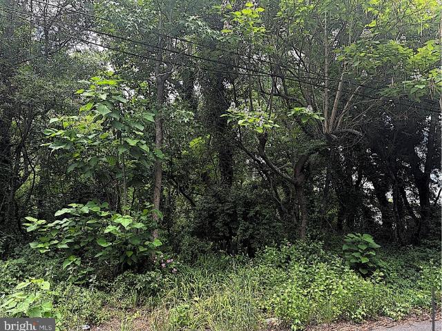 Land for sale in Bridgeton, New Jersey