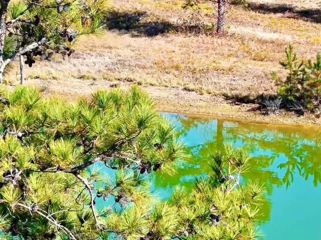 Land for sale in Ohatchee, Alabama