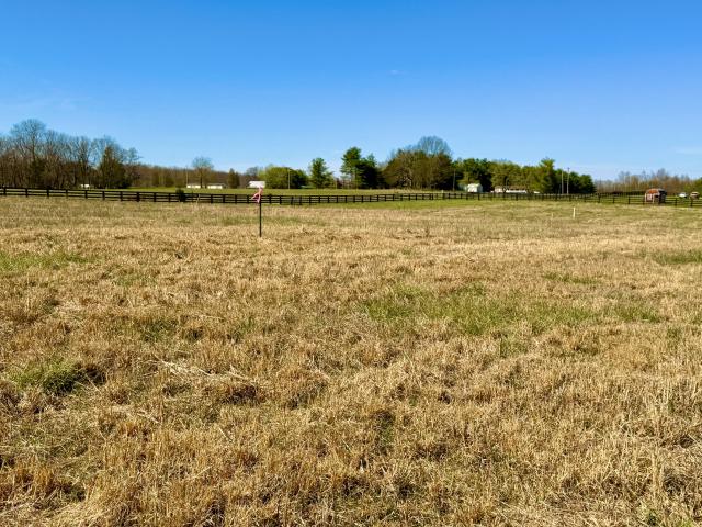 Land for sale in Tennessee