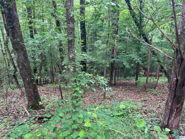 Land for sale in Elmore, Alabama