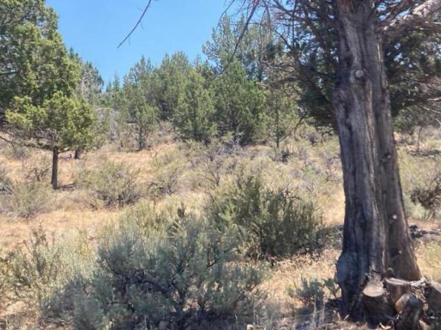 Land for sale in Alturas, Modoc County