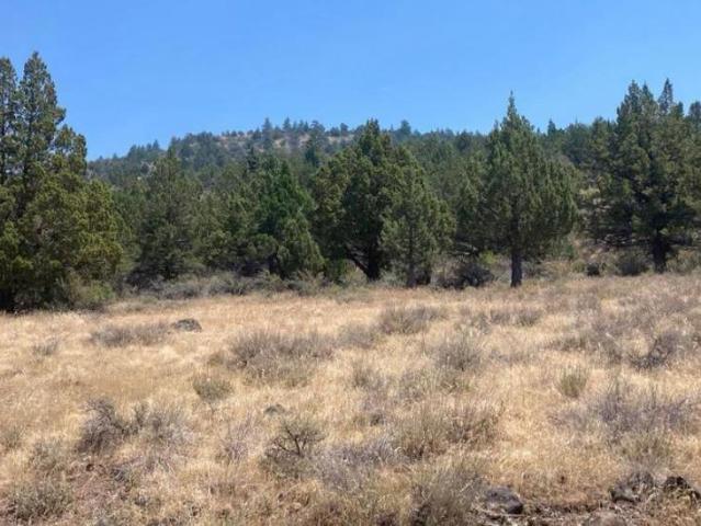 Land for sale in Modoc, California
