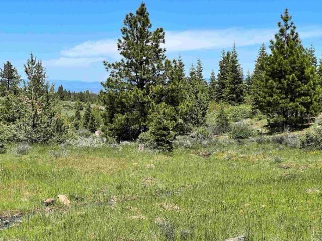 Land for sale in Modoc, California