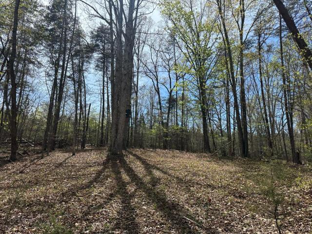 Land for sale in Virginia