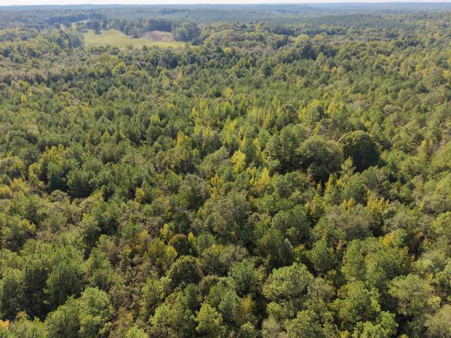 Land for sale in Sulligent, Lamar County
