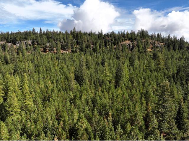 Land for sale in Oregonia