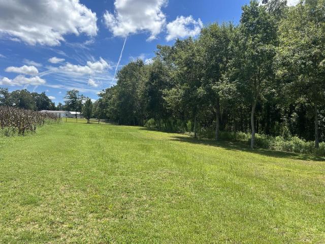 Land for sale in Cowarts, Houston County
