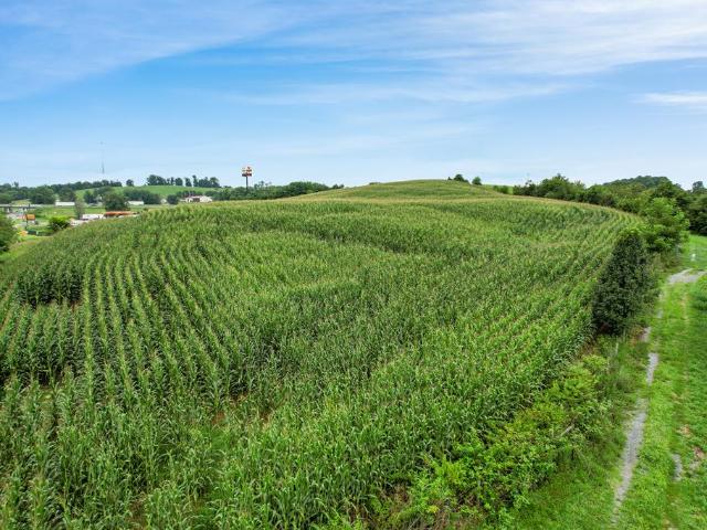 Land for sale in Virginia