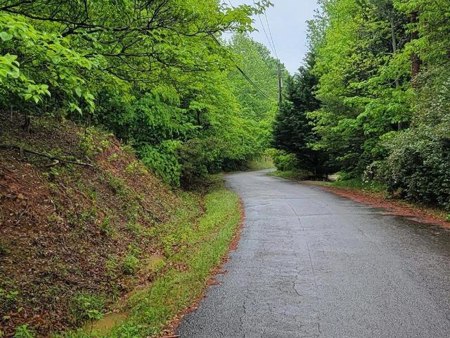 Land for sale in Landrum, South Carolina