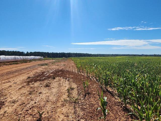 Land for sale in Virginia
