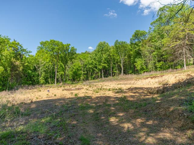 Land for sale in Tennessee