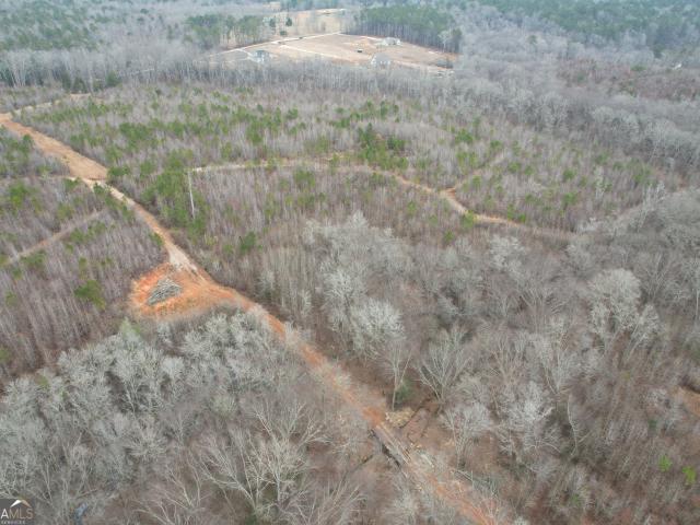 Land for sale in Zebulon, Georgia