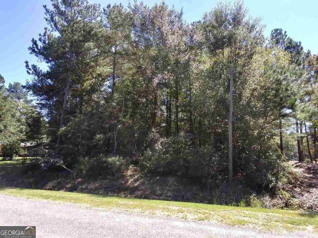 Land for sale in Harrison, Georgia