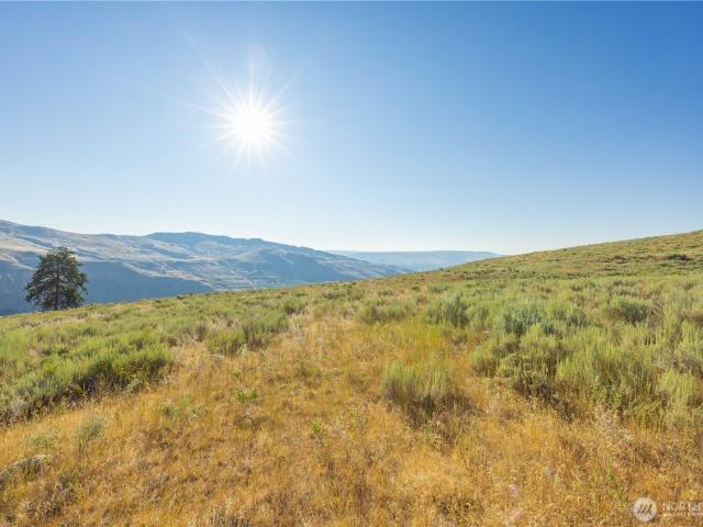 Land for sale in Pateros, Washington