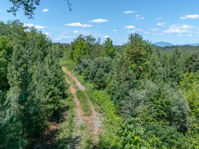 Land for sale in Virginia